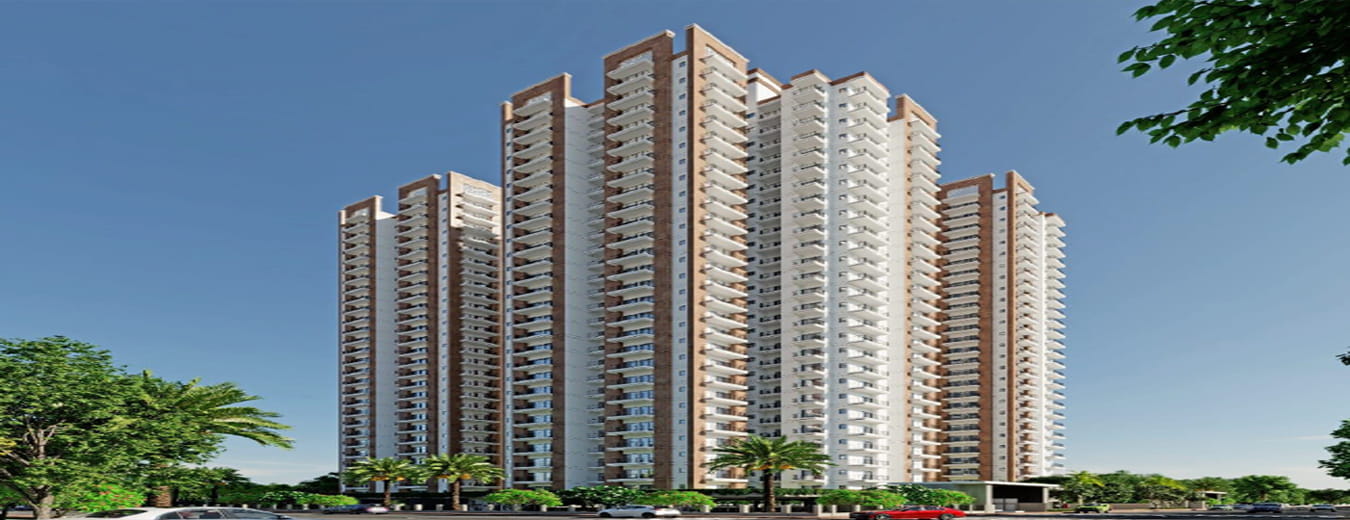 apex sky height